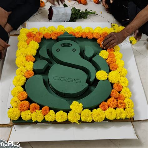 Oasis Floral Products | Oasis Floral Foam For Flower Decoration