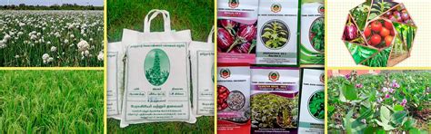 TamilNadu Agricultural University | Seed Centre | For Farmers