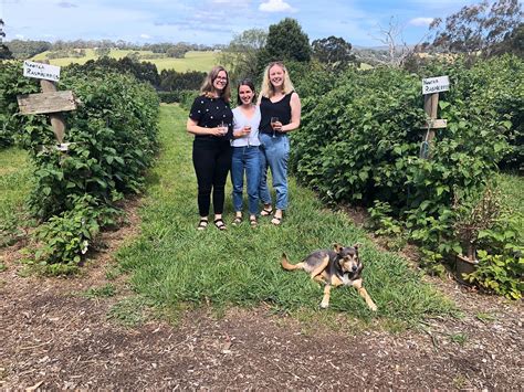 PENNYROYAL RASPBERRY FARM (Murroon) - Campground Reviews & Photos ...