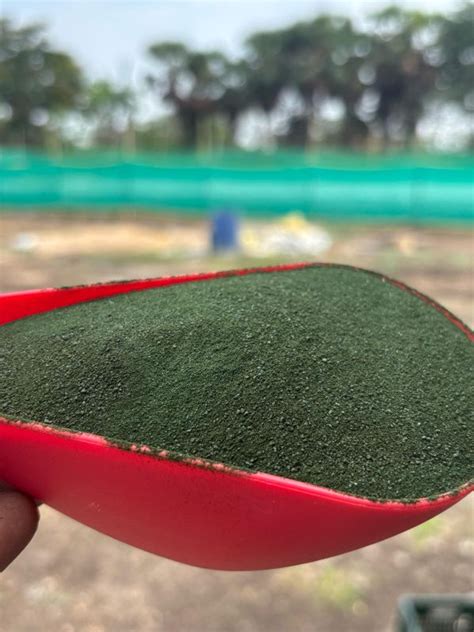 NewTech Farms Chittoor - Pure Spirulina Powder Manufacturer Supplier
