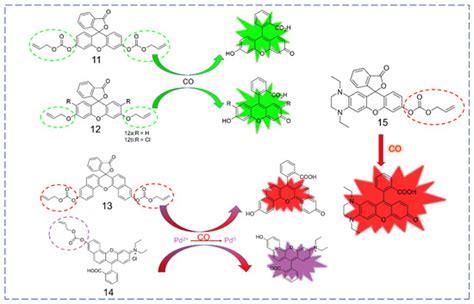 A Review for In Vitro and In Vivo Detection and Imaging of Gaseous ...