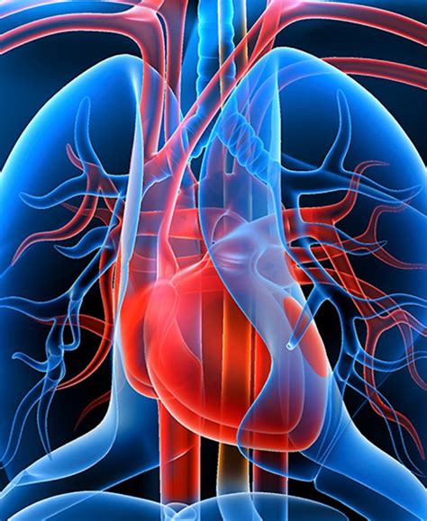 Dr. G. Praveen Prabu - Leading Cardiothoracic & Vascular Surgeon in ...