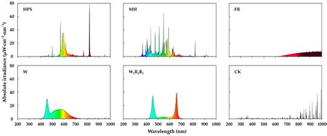 Effect of Supplementary Light Source on Quality of Grafted Tomato ...