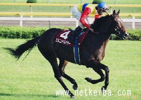 エルコンドルパサー (El Condor Pasa) | 競走馬データ - netkeiba