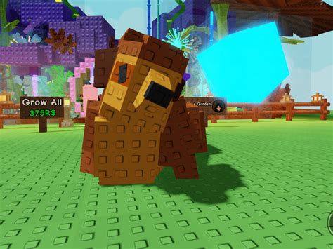 What Are The Benefits Of Owning The Grow A Garden Meerkat Pet?