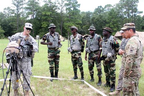 Logistics brings Senegalese, U.S. Soldiers together | Article | The ...
