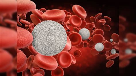 Foods To Boost White Blood Cells, ശ്വേതരക്താണുക്കള്‍ കൂടുന്നതിന് ഈ 4 ...