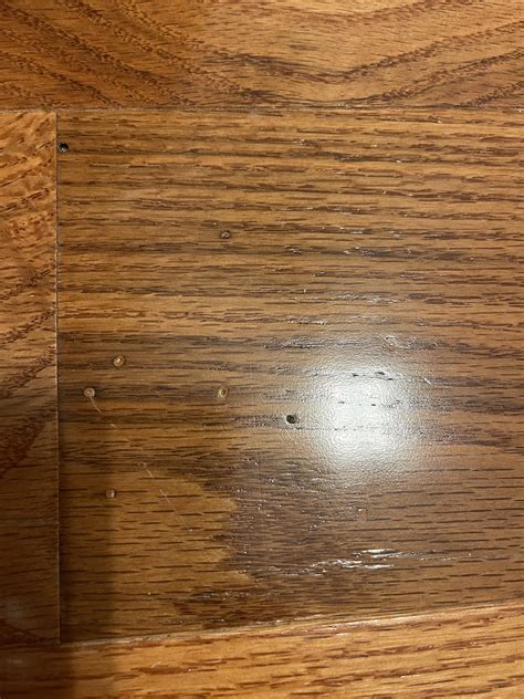 What are these bugs and holes in my hardwood floor? : r/HardWoodFloors