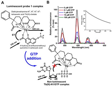 Label-Free Time-Gated Luminescent Detection Method for the Nucleotides ...