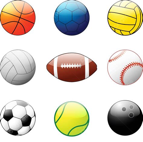 Ball Sports 的图像结果