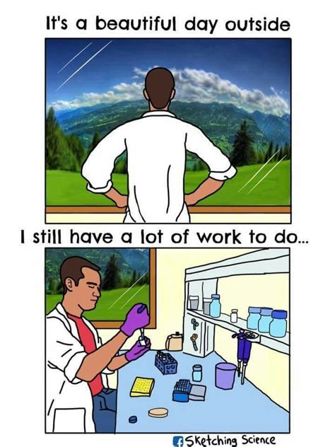 Science Lab Humor 的图像结果