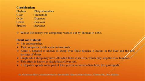 Fasciola hepatica (The Liverfluke).pptx