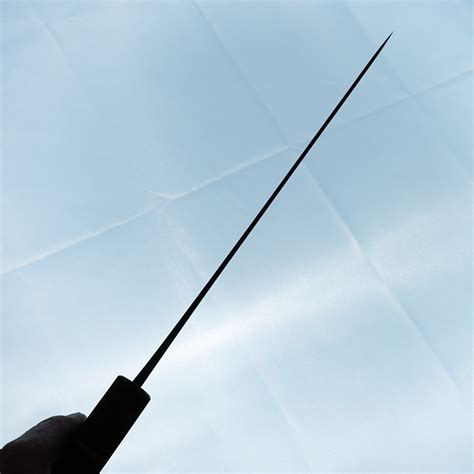 Nihei White #2 Stainless Clad Sujihiki 210mm