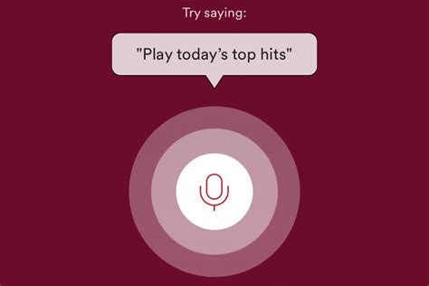 Image result for Python Spotify Voice Control