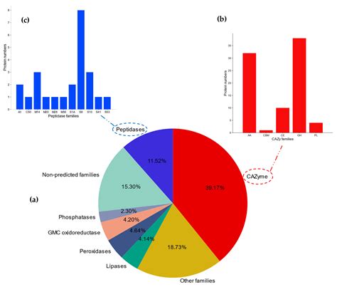 Secretome Analysis for a New Strain of the Blackleg Fungus Plenodomus ...