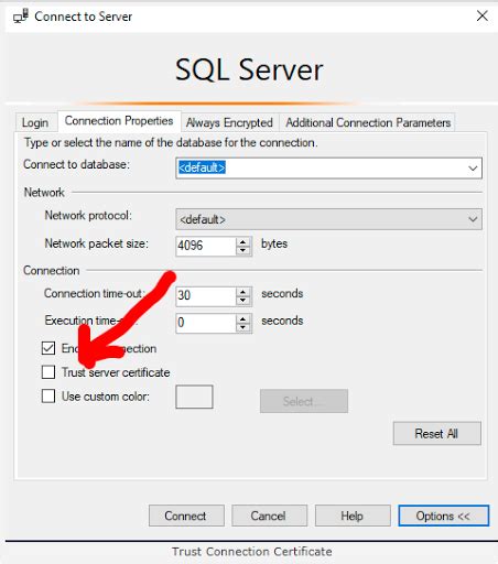 Image result for SQL Server Connection Form