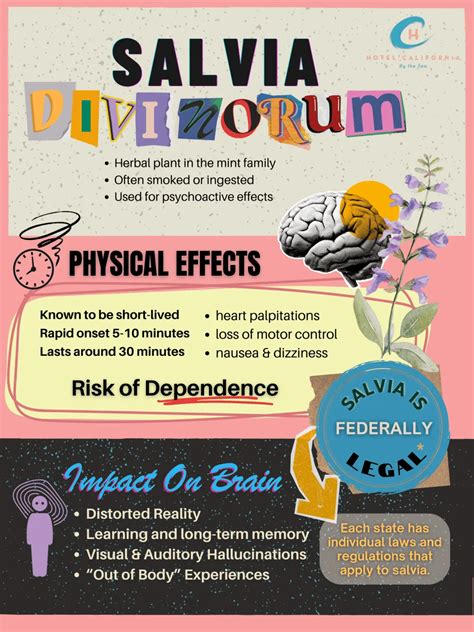 Is Salvia Divinorum Legal?