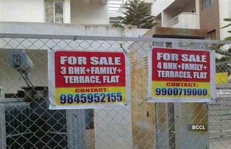 They seem to have a good taste