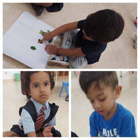 World Environment Day