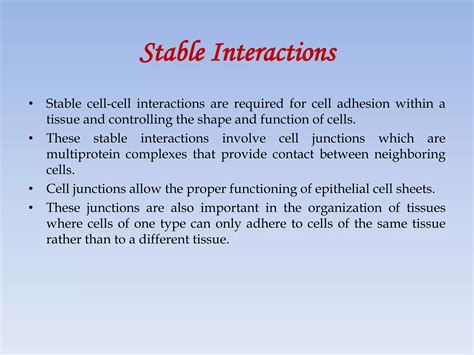 Cell-Cell Interaction 的图像结果