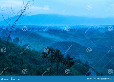 Beautiful Morning View 的图像结果