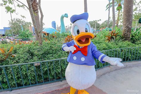Donald Duck Characteristics