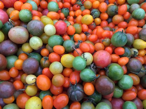 Coronado Certified Farmers Market, 1201 1st St, Coronado, CA, United ...