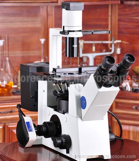 Fluorescence Microscope 的图像结果
