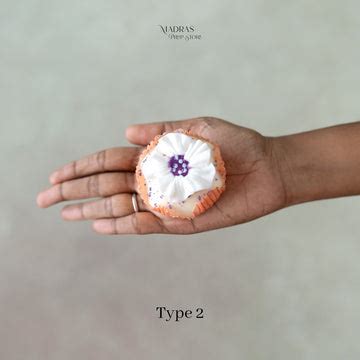 Candy Props – Madras Prop Store