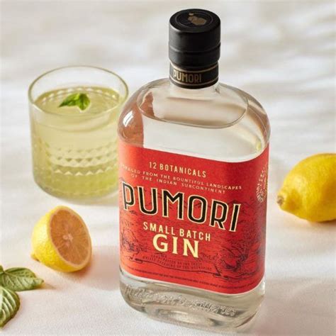 Best gin to grab on your run to the alcohol store, based on your zodiac ...