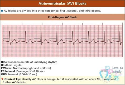 Image result for ACLS Code Blue Algorithm