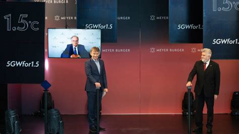 Rezultat imagine pentru Meyer Burger Module