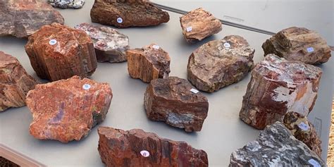 Graves Mountain annual Spring Rock Swap and Dig returns
