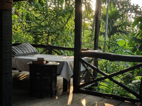 Cottage no 4 - Sanctuary Andamans hilltop cottage - Nature lodges for ...