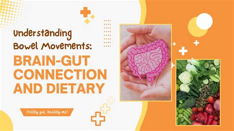 Does Sugar Affect Bowel Movements? The Gut Health Connection