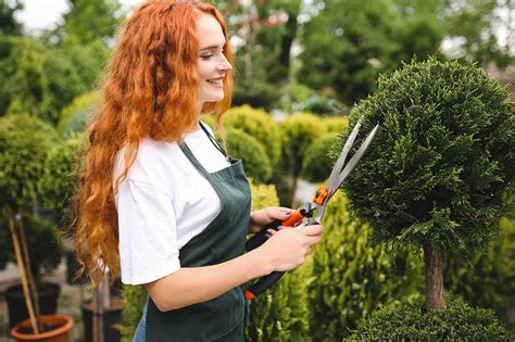 How to Start a Landscaping Business ? 13 Steps Guide - Invoice Fly