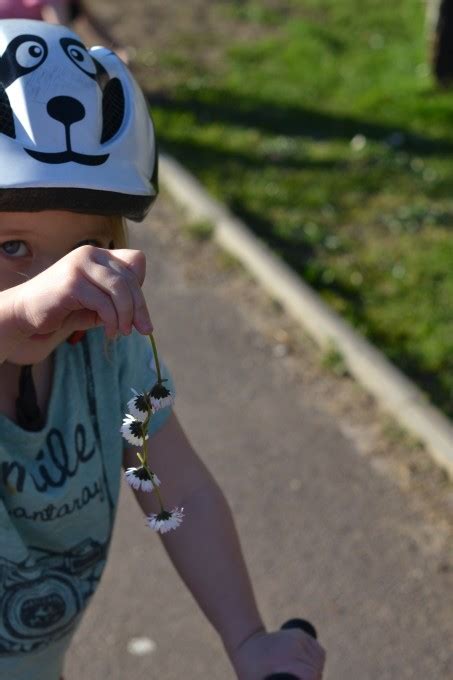 Image result for Simple Experiments Outside