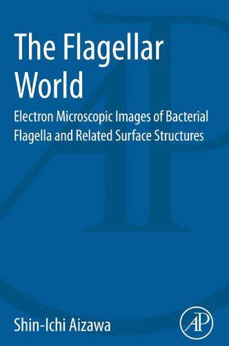 The Flagellar World: Electron Microscopic Images of Bacterial Flagella ...