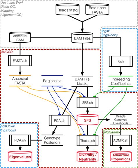 Analysis Workflow 的图像结果