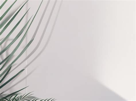 Professional Background 的图像结果