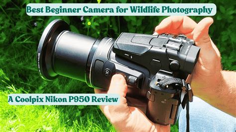 Beginner Photography Camera 的图像结果