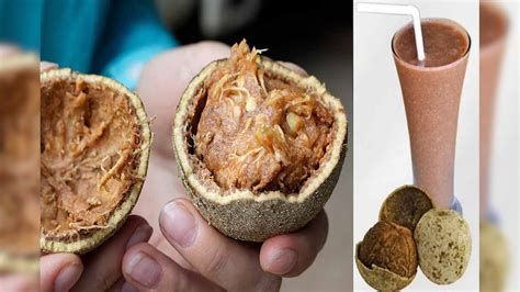 Bael Fruit Benefits: ಬೇಲ ಹಣ್ಣಿನ ಸೂಪರ್ ಪ್ರಯೋಜನಗಳು ಒಂದೆರೆಡಲ್ಲ ...