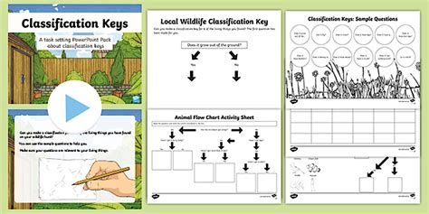 Classification Key for Kids 的图像结果