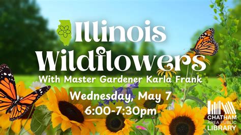 Illinois Wildflowers, 600 E Spruce St, Chatham, IL, United States ...