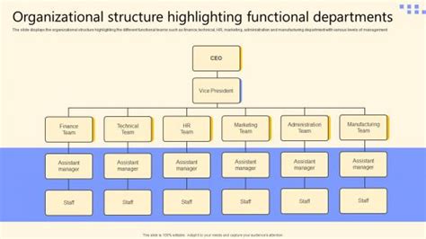 Functional Structure Organizational Chart 的图像结果