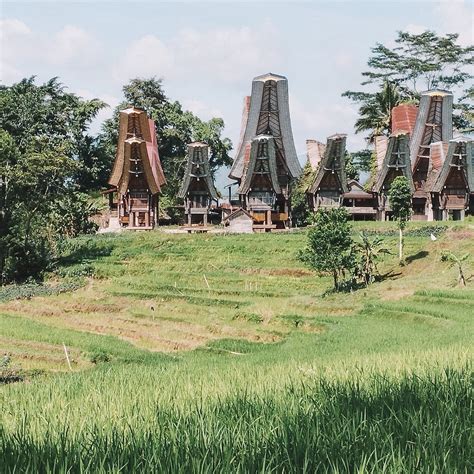 LOCAL GUIDE TORAJA (2026) All You Need to Know BEFORE You Go (with ...