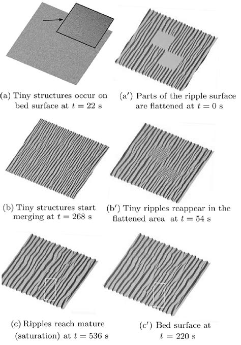 Image result for Simulation Reparation