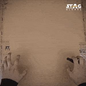 STAG GLOBAL Midi Carrom Board Set | 20x20 Inch with Coins | Striker ...