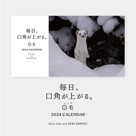 2024年卓上カレンダー 『毎日、口角が上がるニコ毛』 卓上タイプ（ワイド） | laccio photography
