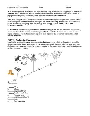 Image result for Cladogram Worksheet Worm